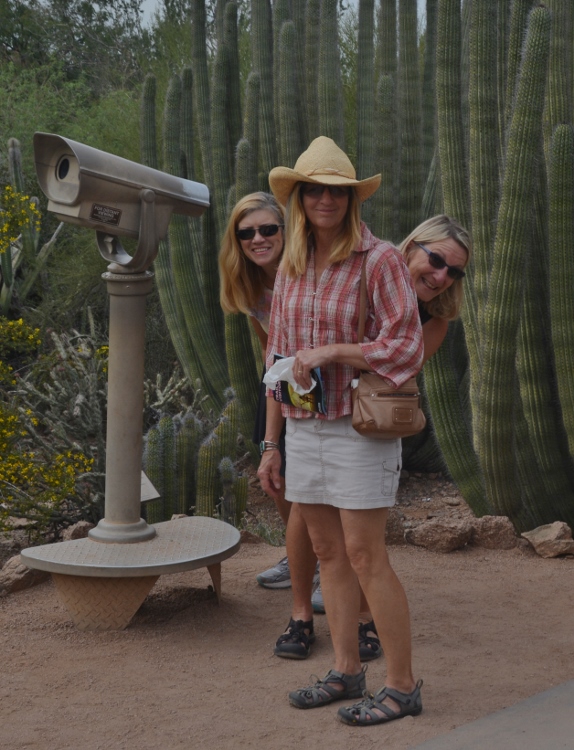 at Desert Botanical Garden, Phoenix